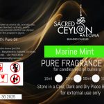 Marine Mint Fragrance Oil - For Candle making and oil burner use 50ml