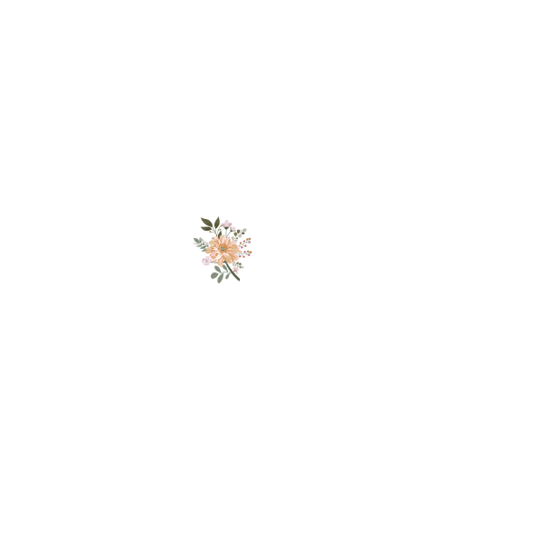 Decor Supplier .lk