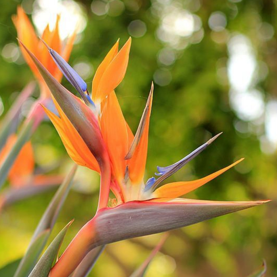 A New Design - Made with PosterMyWall (89)