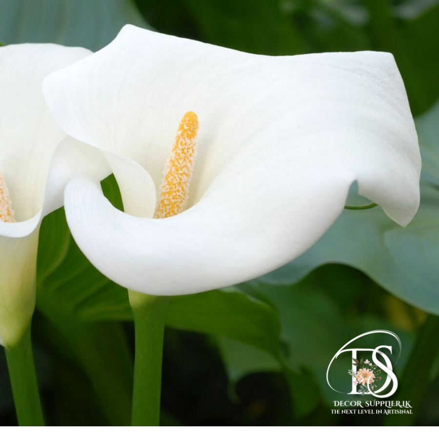 A New Design - Made with PosterMyWall (95)