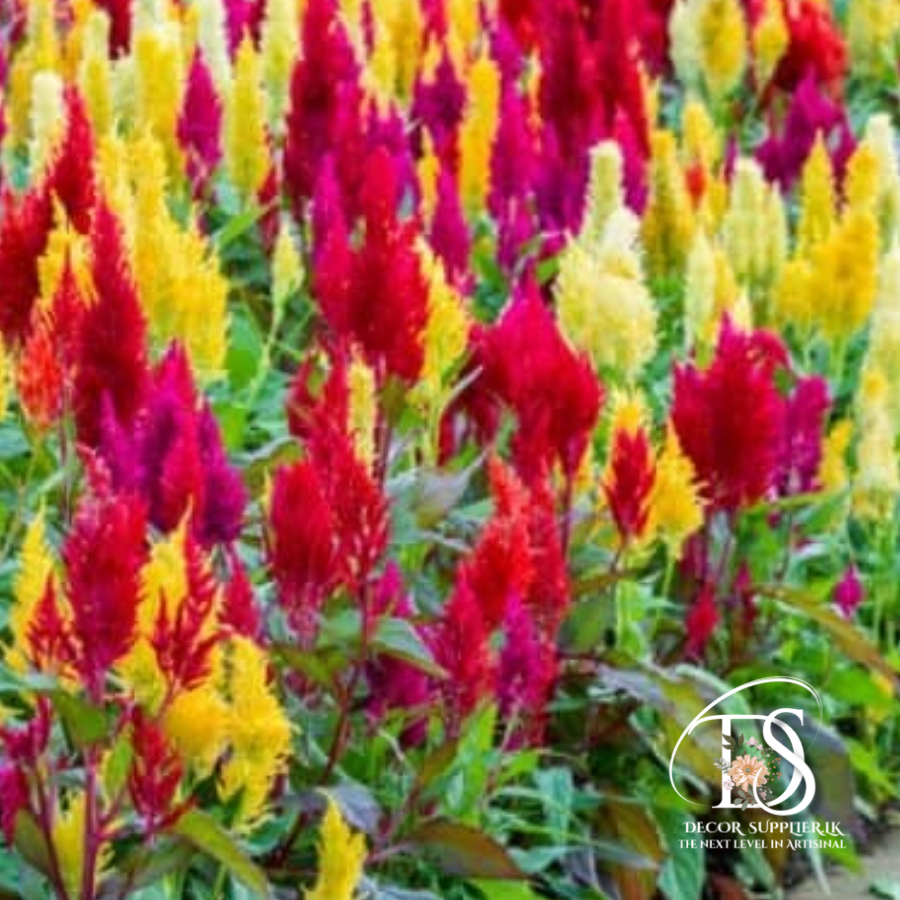 A New Design - Made with PosterMyWall (97)