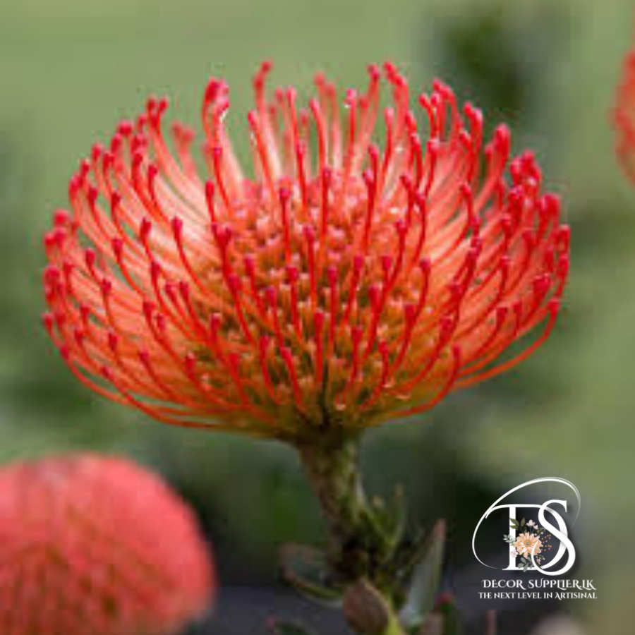 A New Design - Made with PosterMyWall (99)